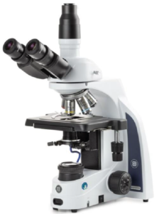 Microscopio trinocular EUROMEX IS-1153-PLI-DF para campo oscuro.
