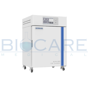 Incubadora de CO2 BJPX-C50 Biobase | Cultivo Celular Estable
